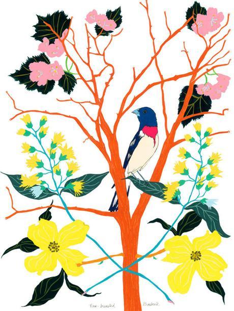 Branch and Bird Illustration By Artist Amy Jean Porter At 20x200