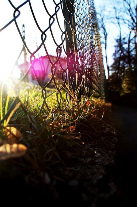 Edgy Spring Landscape Photograph With Pink Glimmer