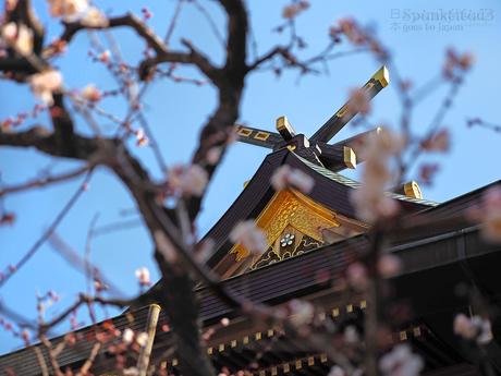 Yushima Tenjin Plum Blossom Festival