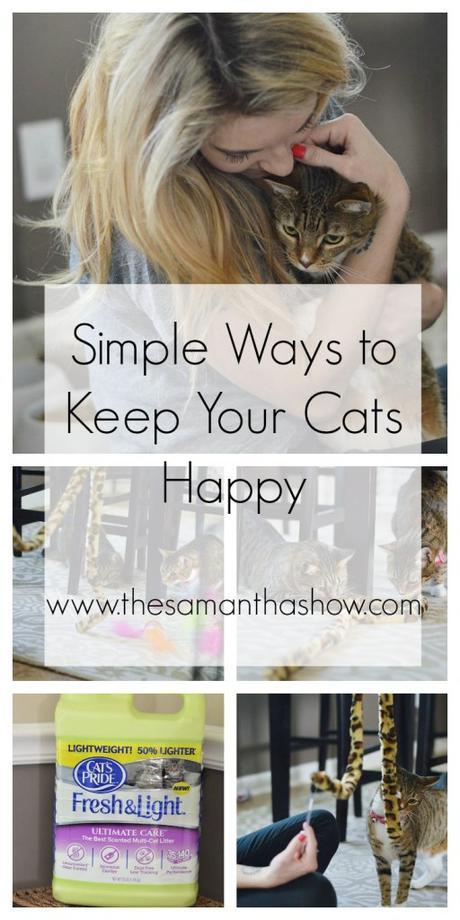 simplewaystokeepyourcatshappy