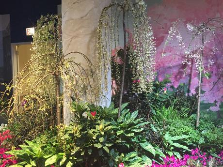 Macy's flower show