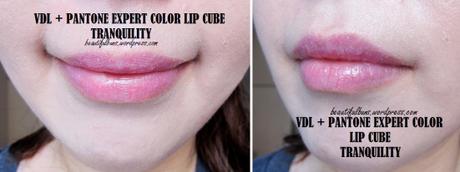 VDL Pantone Expert Color Lip Cube Tranquility (7)