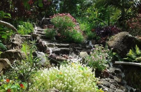 Jardin Tau Kiani Rapa Nui, Easter Island