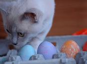 #Easter Posts: #eggs Good #pets?