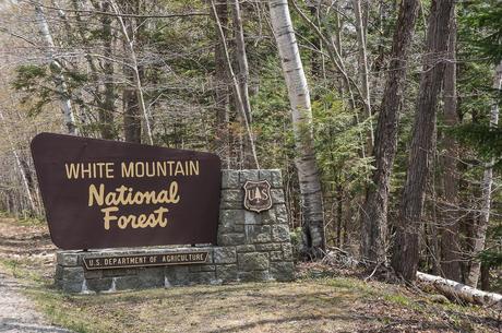 Welcome to the White Mountains!