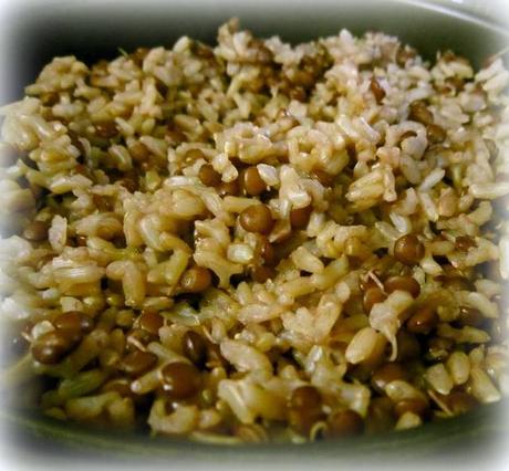  photo lentils and brown rice_zpstagavhbb.jpg