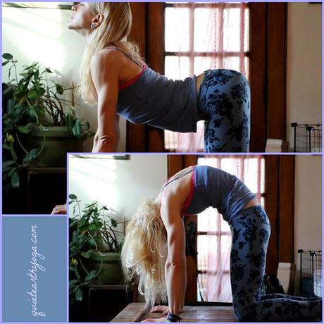 Cow Pose Bitilasana Benefits