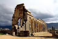 Volubilis - photo by Elizabeth Robinson
