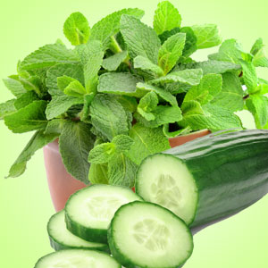 Cucumber Mint Fragrance Oil