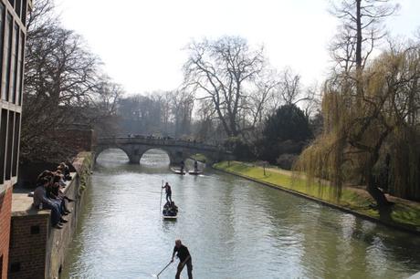  photo Spring Afternoon in Cambridge 4_zpszieidfu2.jpg