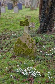 Graveyard flowers