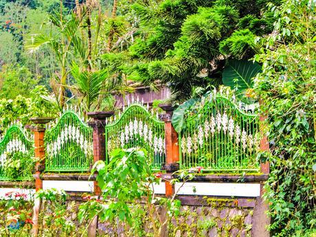 Fence in Bedugul, Bali