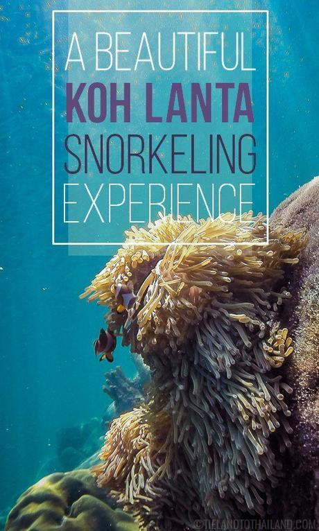 A Beautiful Koh Lanta Snorkeling Experience