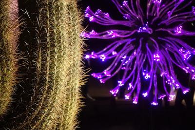 Bruce Munro’s SONORAN LIGHT Exhibit at the Desert Botanical Garden, Phoenix, AZ