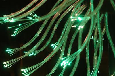 Bruce Munro’s SONORAN LIGHT Exhibit at the Desert Botanical Garden, Phoenix, AZ