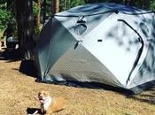 Camping Dogs