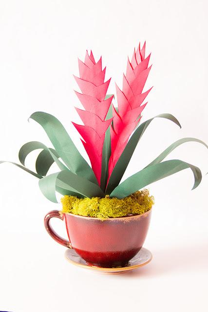 Paper Plant - A Bromelaid DIY  tutorial