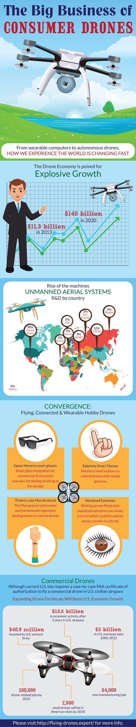 The Rise of the Drone Industry Infographic