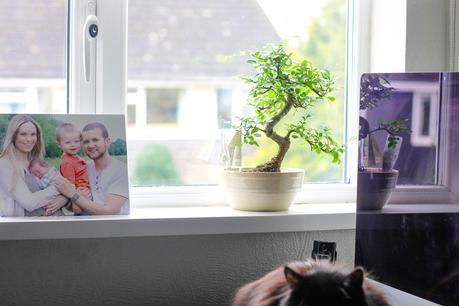 Our Home: Adding a touch of nature with Homebase #LifeImprovement