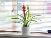 Home: Adding Touch Nature with Homebase #LifeImprovement