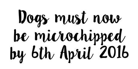 The New Microchipping Legal Requirement for Dogs