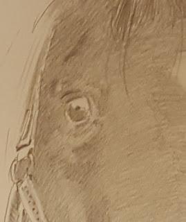 Horsin Around---Pencil Portrait of Twyw