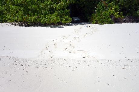 Footprints to our Pool Villa, Maldives