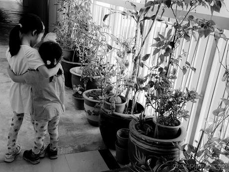 Keep our loved ones safe, 'Do the Mozzie Wipeout'