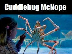 Cuddlebug Mcnope