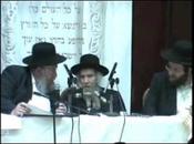 Shteinman Emunas Chachomim (video)