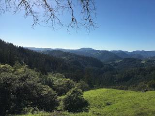 California Dreamin' - Adventures in Santa Rosa (Part 2) California Dreamin' - Adventures in Santa Rosa (Part 2)