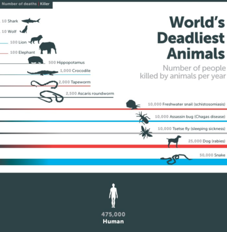 The Friday Fast 5: Five Things You Want to Check Out Right Now