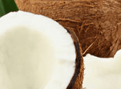 Coconut Fragrance