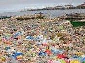 Generation Anthropocene: Humans Have Altered Planet Ever