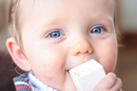 Logan at 8 and 9 Months Logan at 8 and 9 Months