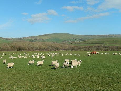 Good Friday Coastal Walk (Part 2)