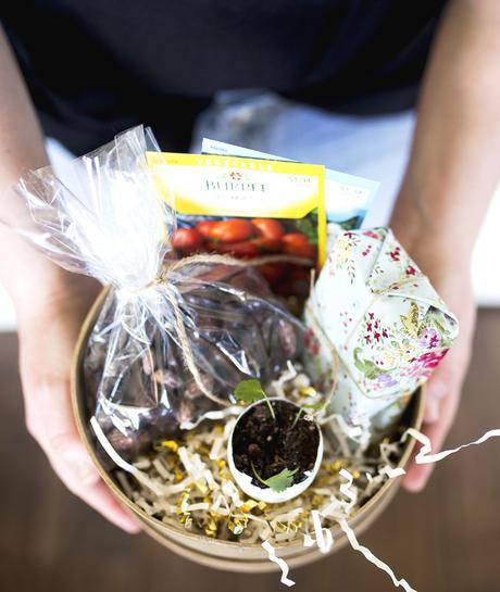 Springtime Gift Idea // Dove Fruits