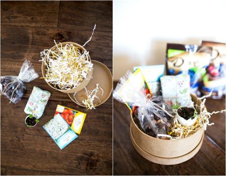 Springtime Gift Idea // Dove Fruits