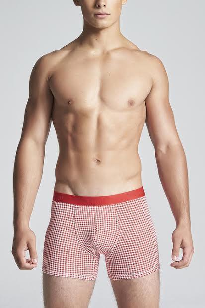 tani usa boxers silk