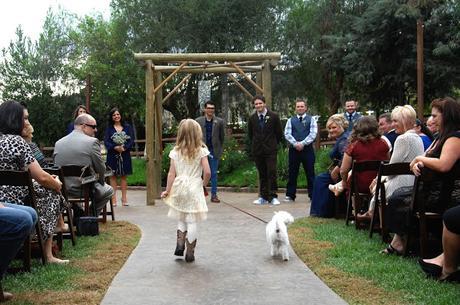Wedding Photos - The Ceremony