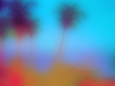 Blurry Photograph Of Palm Trees By Joan Pamboukes At MassArt Auction
