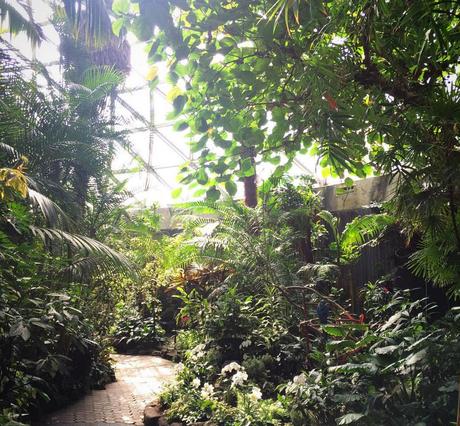 The Bloedel Conservatory in Vancouver’s Queen Elizabeth Park. 