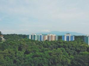 Returning to Rio Returning to Rio