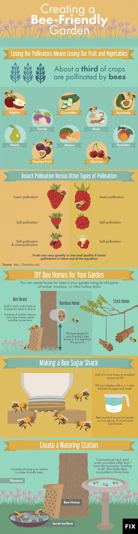 Making your garden bee friendly - infographic