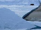 North Pole 2016: Runway Barneo Camp Cracks, Delaying Access Arctic