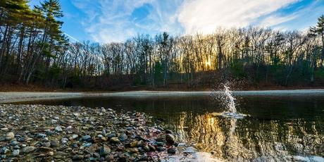 Skipping Stones on Walden