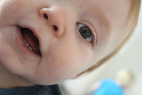 Noah at 1 Year Old