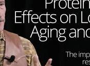 Could Protein Problem Aging Cancer?