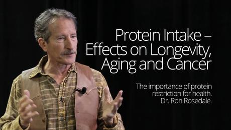 Could Protein be a Problem for Aging and Cancer?
