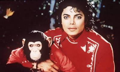 92110,xcitefun-michael-jackson-bubble-the-chimp